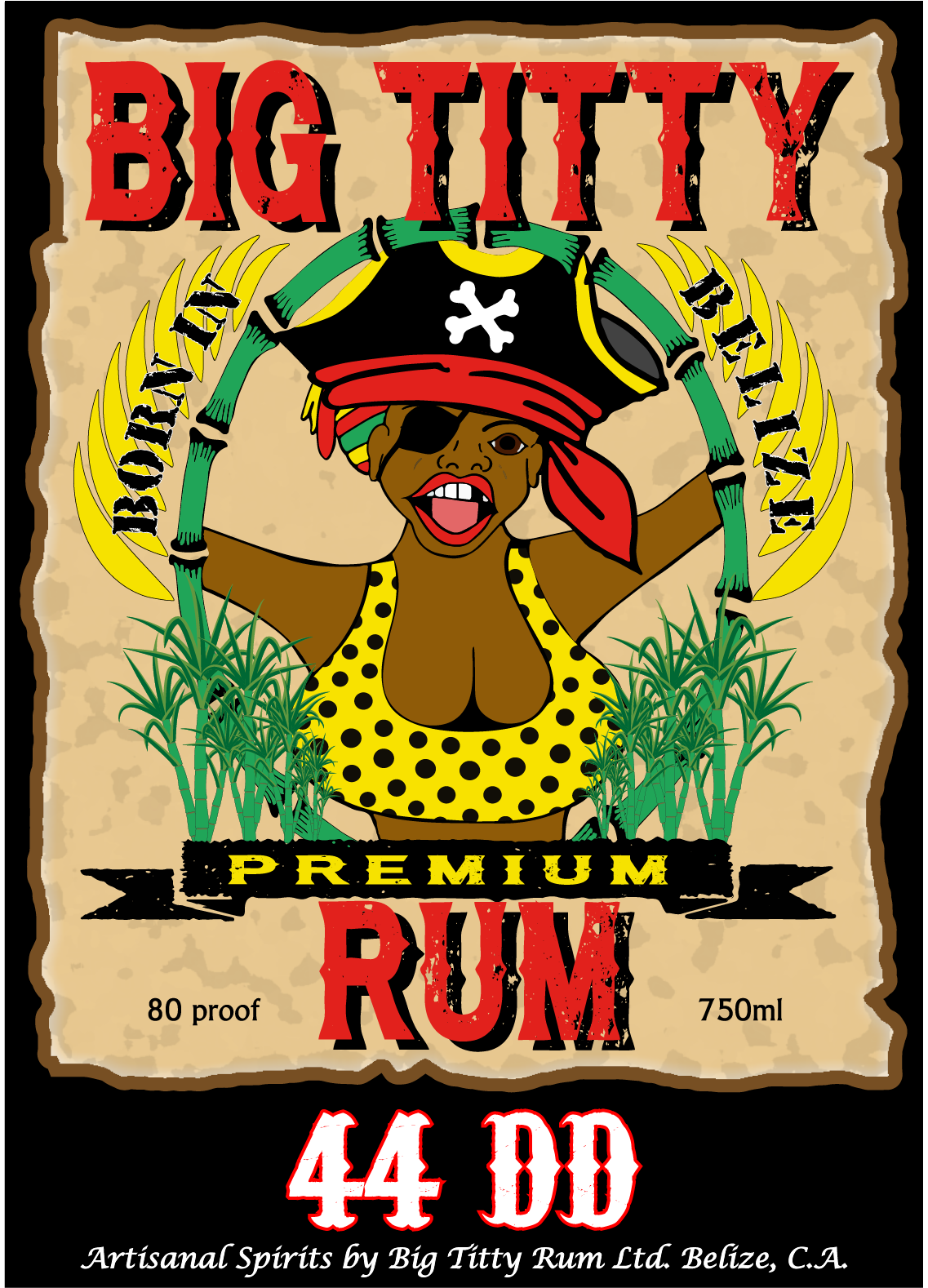 BigTittyRum logo and spirit Posters
